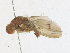  ( - CBG-A21650-B01)  @11 [ ] CreativeCommons - Attribution Share-Alike (2023) CBG Photography Group Centre for Biodiversity Genomics