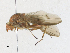  ( - CBG-A21650-B03)  @11 [ ] CreativeCommons - Attribution Share-Alike (2023) CBG Photography Group Centre for Biodiversity Genomics