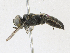  ( - CBG-A21650-B10)  @11 [ ] CreativeCommons - Attribution Share-Alike (2023) CBG Photography Group Centre for Biodiversity Genomics