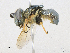  ( - CBG-A16700-F06)  @11 [ ] CreativeCommons - Attribution Share-Alike (2023) CBG Photography Group Centre for Biodiversity Genomics