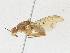  ( - CBG-A21697-E09)  @11 [ ] CreativeCommons - Attribution Share-Alike (2023) CBG Photography Group Centre for Biodiversity Genomics