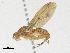  ( - CBG-A21697-F08)  @11 [ ] CreativeCommons - Attribution Share-Alike (2023) CBG Photography Group Centre for Biodiversity Genomics
