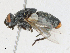  ( - CBG-A21705-D02)  @11 [ ] CreativeCommons - Attribution Share - Alike (2023) CBG Photography Group Centre for Biodiversity Genomics