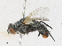  ( - CBG-A21705-D05)  @11 [ ] CreativeCommons - Attribution Share - Alike (2023) CBG Photography Group Centre for Biodiversity Genomics