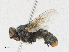  ( - CBG-A21705-D07)  @11 [ ] CreativeCommons - Attribution Share - Alike (2023) CBG Photography Group Centre for Biodiversity Genomics