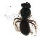  ( - BIOUG26088-B07)  @12 [ ] CreativeCommons - Attribution (2017) CBG Photography Group Centre for Biodiversity Genomics