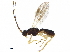  (Stiropius - BIOUG26475-H04)  @15 [ ] CreativeCommons - Attribution (2019) CBG Photography Group Centre for Biodiversity Genomics