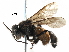  ( - BIOUG26641-B12)  @14 [ ] CreativeCommons - Attribution (2017) CBG Photography Group Centre for Biodiversity Genomics