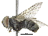  ( - BIOUG14451-B12)  @14 [ ] CreativeCommons - Attribution (2016) CBG Photography Group Centre for Biodiversity Genomics