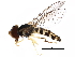  ( - BIOUG19476-B11)  @14 [ ] CreativeCommons - Attribution (2016) CBG Photography Group Centre for Biodiversity Genomics
