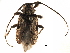  ( - BIOUG19812-G11)  @13 [ ] CreativeCommons - Attribution (2017) CBG Photography Group Centre for Biodiversity Genomics