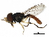  ( - BIOUG20584-H01)  @15 [ ] CreativeCommons - Attribution (2016) CBG Photography Group Centre for Biodiversity Genomics