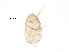  ( - BIOUG14879-C10)  @11 [ ] CreativeCommons - Attribution (2016) CBG Photography Group Centre for Biodiversity Genomics
