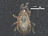  ( - BIOUG16174-B11)  @11 [ ] CreativeCommons - Attribution (2016) CBG Photography Group Centre for Biodiversity Genomics