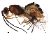  ( - BIOUG16196-G10)  @14 [ ] CreativeCommons - Attribution (2015) CBG Photography Group Centre for Biodiversity Genomics
