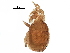  ( - BIOUG16423-H09)  @11 [ ] CreativeCommons - Attribution (2016) CBG Photography Group Centre for Biodiversity Genomics