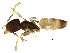  ( - BIOUG16930-E03)  @14 [ ] CreativeCommons - Attribution (2015) CBG Photography Group Centre for Biodiversity Genomics