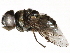  (Kertesziomyia - BIOUG17124-B04)  @13 [ ] CreativeCommons - Attribution (2015) CBG Photography Group Centre for Biodiversity Genomics