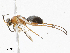  ( - CBG-A10840-A09)  @11 [ ] CreativeCommons - Attribution Share - Alike (2023) CBG Photography Group Centre for Biodiversity Genomics