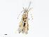  ( - CBG-A10840-F11)  @11 [ ] CreativeCommons - Attribution Share - Alike (2023) CBG Photography Group Centre for Biodiversity Genomics
