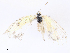  ( - CBG-A10840-G08)  @11 [ ] CreativeCommons - Attribution Share - Alike (2023) CBG Photography Group Centre for Biodiversity Genomics