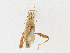  ( - CBG-A21693-B11)  @11 [ ] CreativeCommons - Attribution Share-Alike (2023) CBG Photography Group Centre for Biodiversity Genomics