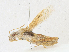  ( - CBG-A21693-C11)  @11 [ ] CreativeCommons - Attribution Share-Alike (2023) CBG Photography Group Centre for Biodiversity Genomics