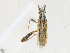  ( - CBG-A21693-E03)  @11 [ ] CreativeCommons - Attribution Share-Alike (2023) CBG Photography Group Centre for Biodiversity Genomics