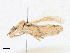  ( - CBG-A21693-H04)  @11 [ ] CreativeCommons - Attribution Share-Alike (2023) CBG Photography Group Centre for Biodiversity Genomics