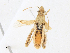  ( - CBG-A21693-H07)  @11 [ ] CreativeCommons - Attribution Share-Alike (2023) CBG Photography Group Centre for Biodiversity Genomics