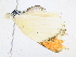  ( - CBG-A21694-H06)  @11 [ ] CreativeCommons - Attribution Share - Alike (2023) CBG Photography Group Centre for Biodiversity Genomics