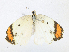  ( - CBG-A21694-H07)  @11 [ ] CreativeCommons - Attribution Share - Alike (2023) CBG Photography Group Centre for Biodiversity Genomics