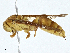  ( - BIOUG99550-G07)  @11 [ ] CreativeCommons - Attribution (2023) CBG Photography Group Centre for Biodiversity Genomics