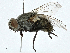  ( - BIOUG99552-A11)  @11 [ ] CreativeCommons - Attribution (2023) CBG Photography Group Centre for Biodiversity Genomics