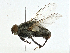  ( - BIOUG99552-B01)  @11 [ ] CreativeCommons - Attribution (2023) CBG Photography Group Centre for Biodiversity Genomics