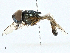  ( - BIOUG99555-C09)  @11 [ ] CreativeCommons - Attribution (2023) CBG Photography Group Centre for Biodiversity Genomics