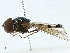  ( - BIOUG99555-C12)  @11 [ ] CreativeCommons - Attribution (2023) CBG Photography Group Centre for Biodiversity Genomics