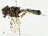  ( - BIOUG99555-D01)  @11 [ ] CreativeCommons - Attribution (2023) CBG Photography Group Centre for Biodiversity Genomics
