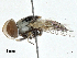  ( - BIOUG99555-H02)  @11 [ ] CreativeCommons - Attribution (2023) CBG Photography Group Centre for Biodiversity Genomics