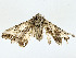  ( - CBG-A00346-H07)  @11 [ ] CreativeCommons - Attribution (2023) CBG Photography Group Centre for Biodiversity Genomics