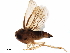  ( - BIOUG41446-A12)  @11 [ ] CreativeCommons - Attribution (2019) CBG Photography Group Centre for Biodiversity Genomics