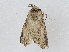  ( - CBG-A04477-B11)  @11 [ ] CreativeCommons - Attribution (2023) CBG Photography Group Centre for Biodiversity Genomics
