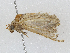  ( - CBG-A04477-C12)  @11 [ ] CreativeCommons - Attribution (2023) CBG Photography Group Centre for Biodiversity Genomics