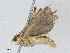  ( - CBG-A04477-F11)  @11 [ ] CreativeCommons - Attribution (2023) CBG Photography Group Centre for Biodiversity Genomics