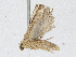  ( - CBG-A04477-G08)  @11 [ ] CreativeCommons - Attribution (2023) CBG Photography Group Centre for Biodiversity Genomics