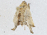  ( - CBG-A04485-C04)  @11 [ ] CreativeCommons - Attribution (2023) CBG Photography Group Centre for Biodiversity Genomics