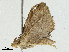  ( - CBG-A04485-H01)  @11 [ ] CreativeCommons - Attribution (2023) CBG Photography Group Centre for Biodiversity Genomics