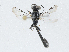  ( - CBG-A04487-B10)  @11 [ ] CreativeCommons - Attribution (2023) CBG Photography Group Centre for Biodiversity Genomics