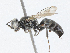  ( - CBG-A04557-B09)  @11 [ ] CreativeCommons - Attribution (2023) CBG Photography Group Centre for Biodiversity Genomics