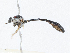  ( - CBG-A04561-B08)  @11 [ ] CreativeCommons - Attribution (2023) CBG Photography Group Centre for Biodiversity Genomics